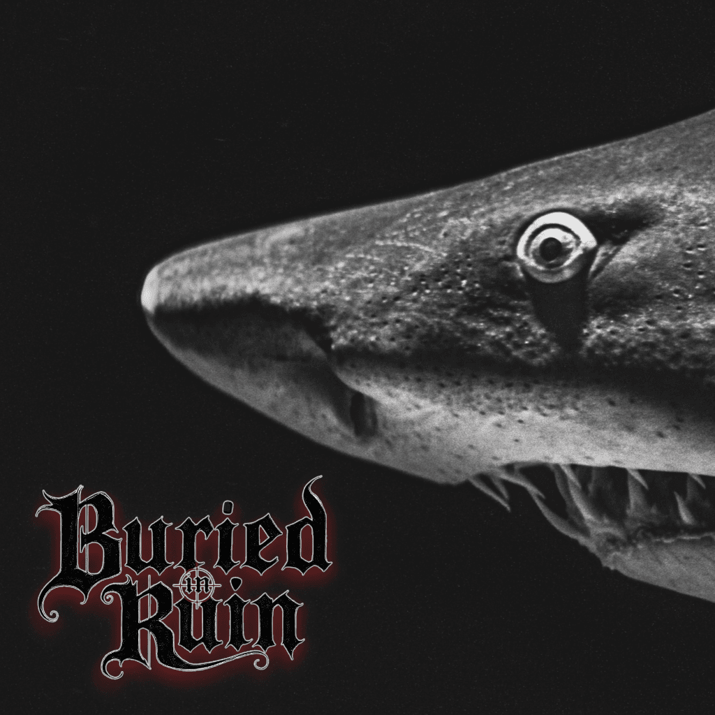 Created A Monster single cover art